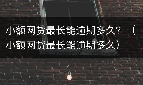 小额网贷最长能逾期多久？（小额网贷最长能逾期多久）