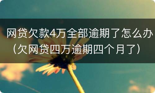 网贷欠款4万全部逾期了怎么办（欠网贷四万逾期四个月了）