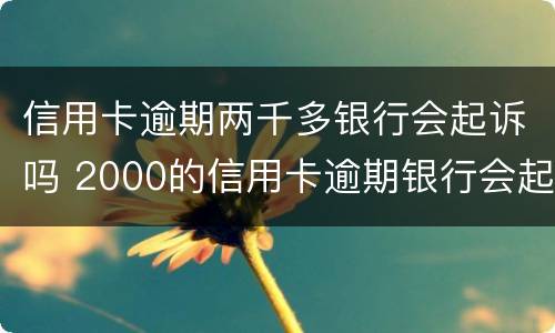 信用卡逾期两千多银行会起诉吗 2000的信用卡逾期银行会起诉吗