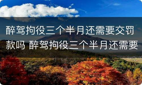 醉驾拘役三个半月还需要交罚款吗 醉驾拘役三个半月还需要交罚款吗多少钱