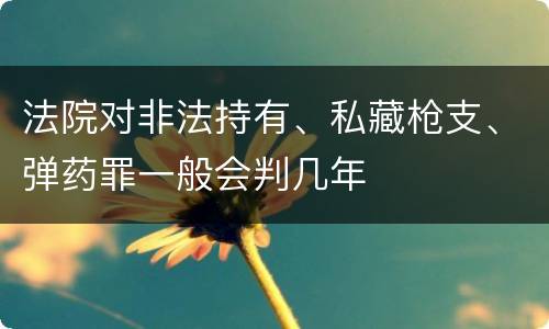 法院对非法持有、私藏枪支、弹药罪一般会判几年