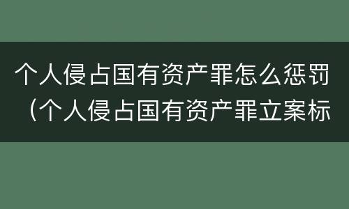 个人侵占国有资产罪怎么惩罚（个人侵占国有资产罪立案标准）
