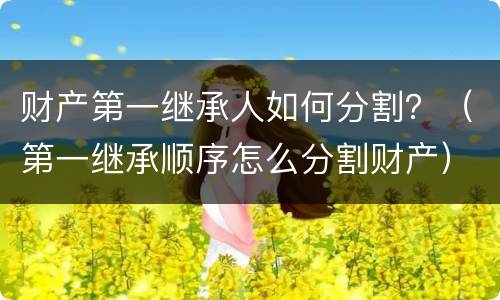 财产第一继承人如何分割？（第一继承顺序怎么分割财产）