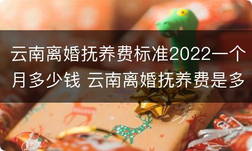 云南离婚抚养费标准2022一个月多少钱 云南离婚抚养费是多少