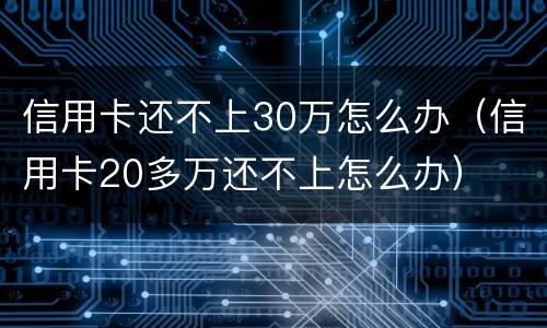 信用卡还不上30万怎么办（信用卡20多万还不上怎么办）
