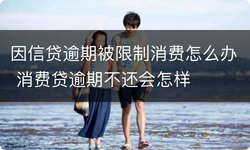 因信贷逾期被限制消费怎么办 消费贷逾期不还会怎样