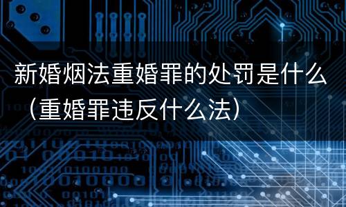 新婚烟法重婚罪的处罚是什么（重婚罪违反什么法）