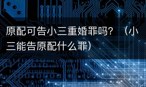 原配可告小三重婚罪吗？（小三能告原配什么罪）
