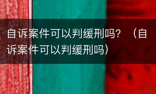 自诉案件可以判缓刑吗？（自诉案件可以判缓刑吗）