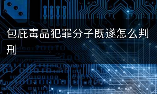 包庇毒品犯罪分子既遂怎么判刑