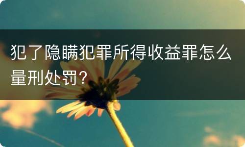 犯了隐瞒犯罪所得收益罪怎么量刑处罚?