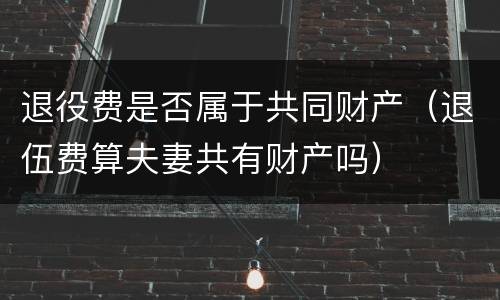 退役费是否属于共同财产（退伍费算夫妻共有财产吗）