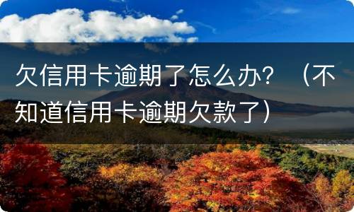 欠信用卡逾期了怎么办？（不知道信用卡逾期欠款了）