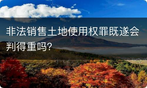非法销售土地使用权罪既遂会判得重吗？