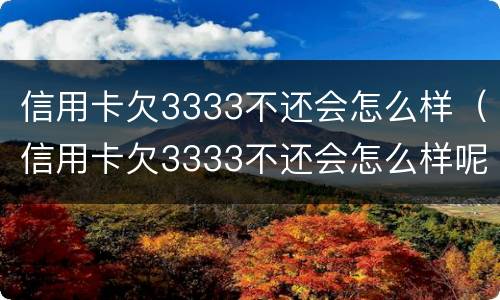 信用卡欠3333不还会怎么样（信用卡欠3333不还会怎么样呢）