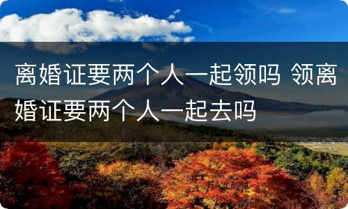 离婚证要两个人一起领吗 领离婚证要两个人一起去吗