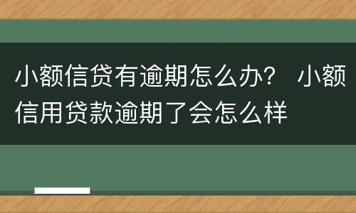 小额信贷有逾期怎么办？ 小额信用贷款逾期了会怎么样
