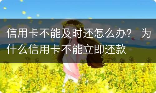 信用卡不能及时还怎么办？ 为什么信用卡不能立即还款