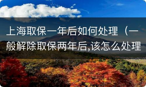 上海取保一年后如何处理（一般解除取保两年后,该怎么处理）