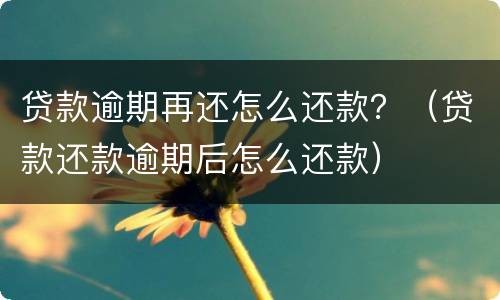 贷款逾期再还怎么还款？（贷款还款逾期后怎么还款）