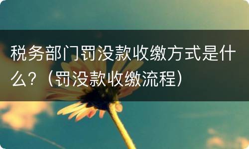 税务部门罚没款收缴方式是什么?（罚没款收缴流程）
