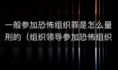 一般参加恐怖组织罪是怎么量刑的（组织领导参加恐怖组织罪的构成要件）