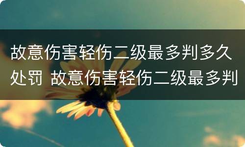 故意伤害轻伤二级最多判多久处罚 故意伤害轻伤二级最多判多久处罚