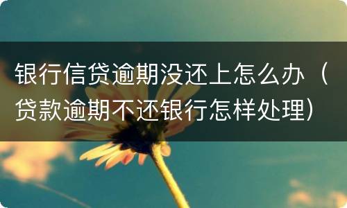 银行信贷逾期没还上怎么办（贷款逾期不还银行怎样处理）