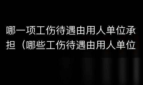 哪一项工伤待遇由用人单位承担（哪些工伤待遇由用人单位支付）