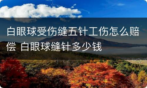 白眼球受伤缝五针工伤怎么赔偿 白眼球缝针多少钱