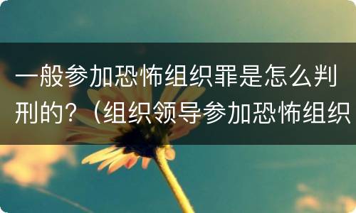一般参加恐怖组织罪是怎么判刑的?（组织领导参加恐怖组织罪规定在我国刑法）
