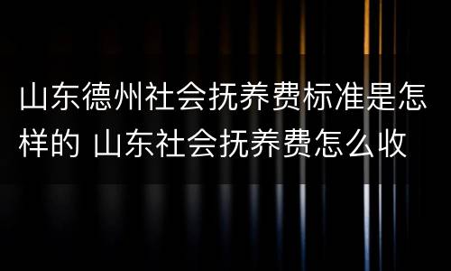 山东德州社会抚养费标准是怎样的 山东社会抚养费怎么收