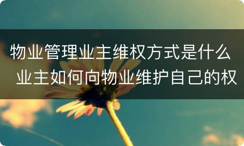 物业管理业主维权方式是什么 业主如何向物业维护自己的权益