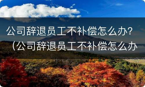 公司辞退员工不补偿怎么办？（公司辞退员工不补偿怎么办法）