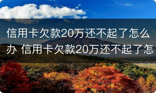 信用卡欠款20万还不起了怎么办 信用卡欠款20万还不起了怎么办呢