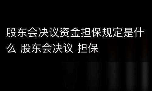 股东会决议资金担保规定是什么 股东会决议 担保