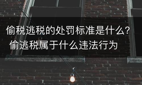 偷税逃税的处罚标准是什么？ 偷逃税属于什么违法行为
