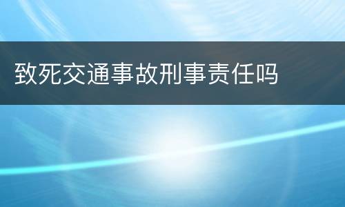 致死交通事故刑事责任吗