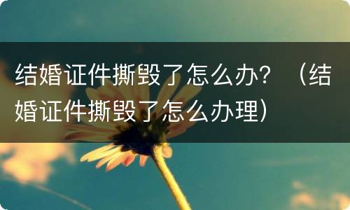 结婚证件撕毁了怎么办？（结婚证件撕毁了怎么办理）