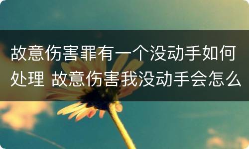 故意伤害罪有一个没动手如何处理 故意伤害我没动手会怎么判