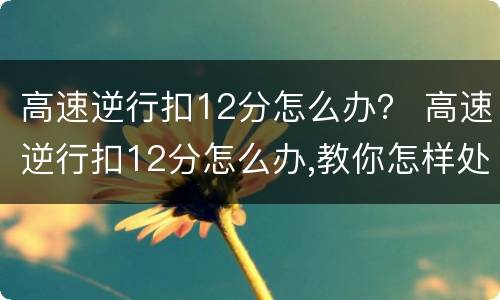 高速逆行扣12分怎么办？ 高速逆行扣12分怎么办,教你怎样处理