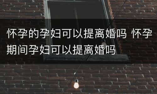 怀孕的孕妇可以提离婚吗 怀孕期间孕妇可以提离婚吗