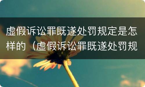 虚假诉讼罪既遂处罚规定是怎样的（虚假诉讼罪既遂处罚规定是怎样的法律）