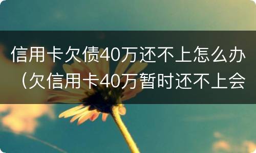 信用卡欠债40万还不上怎么办（欠信用卡40万暂时还不上会怎么样）