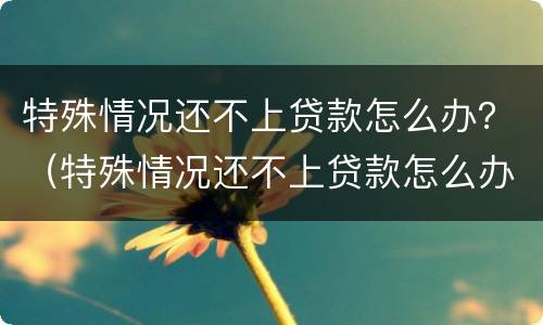 特殊情况还不上贷款怎么办？（特殊情况还不上贷款怎么办）