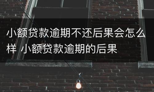 小额贷款逾期不还后果会怎么样 小额贷款逾期的后果
