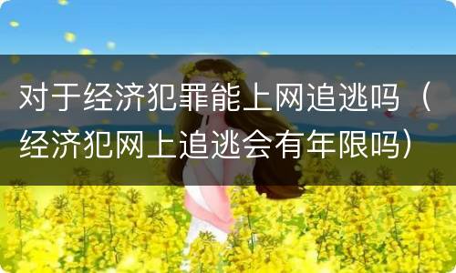 对于经济犯罪能上网追逃吗（经济犯网上追逃会有年限吗）