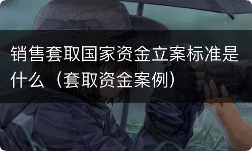 销售套取国家资金立案标准是什么（套取资金案例）