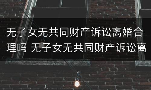 无子女无共同财产诉讼离婚合理吗 无子女无共同财产诉讼离婚合理吗知乎