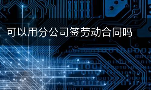 可以用分公司签劳动合同吗